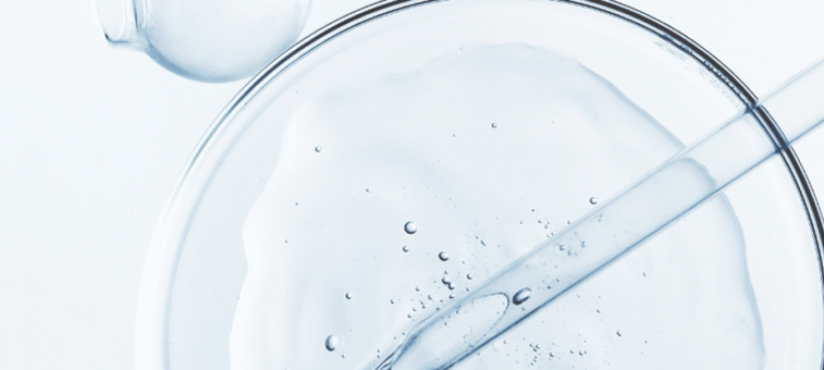 newsletter-bg-mobile